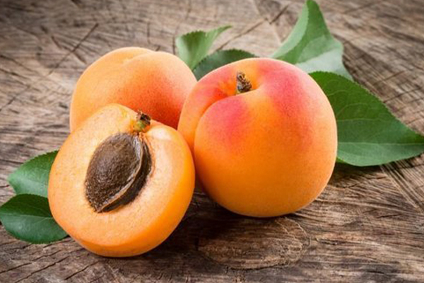 Apricot