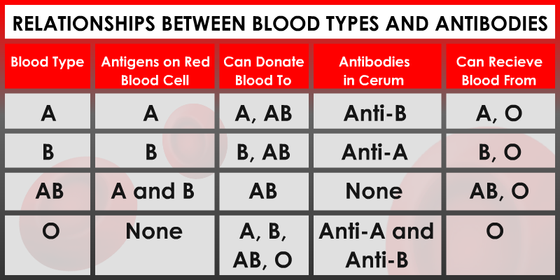 Blood Types Chart